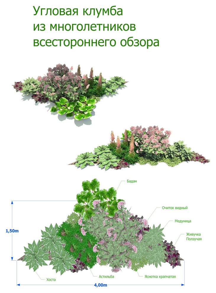 Обложка проекта: Схемы клумб из многолетников