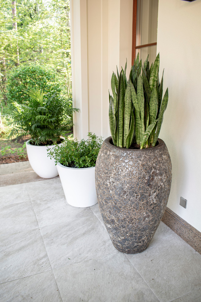 Тропическое озеленение террасы