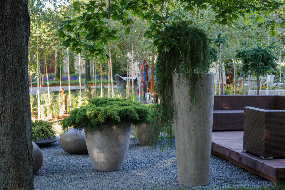 Вазоны и кашпо