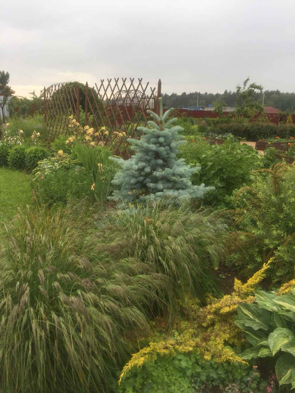 Сад трав и цветов.