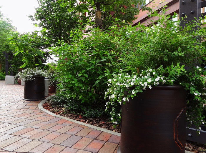 Парк ДК Новоспасский