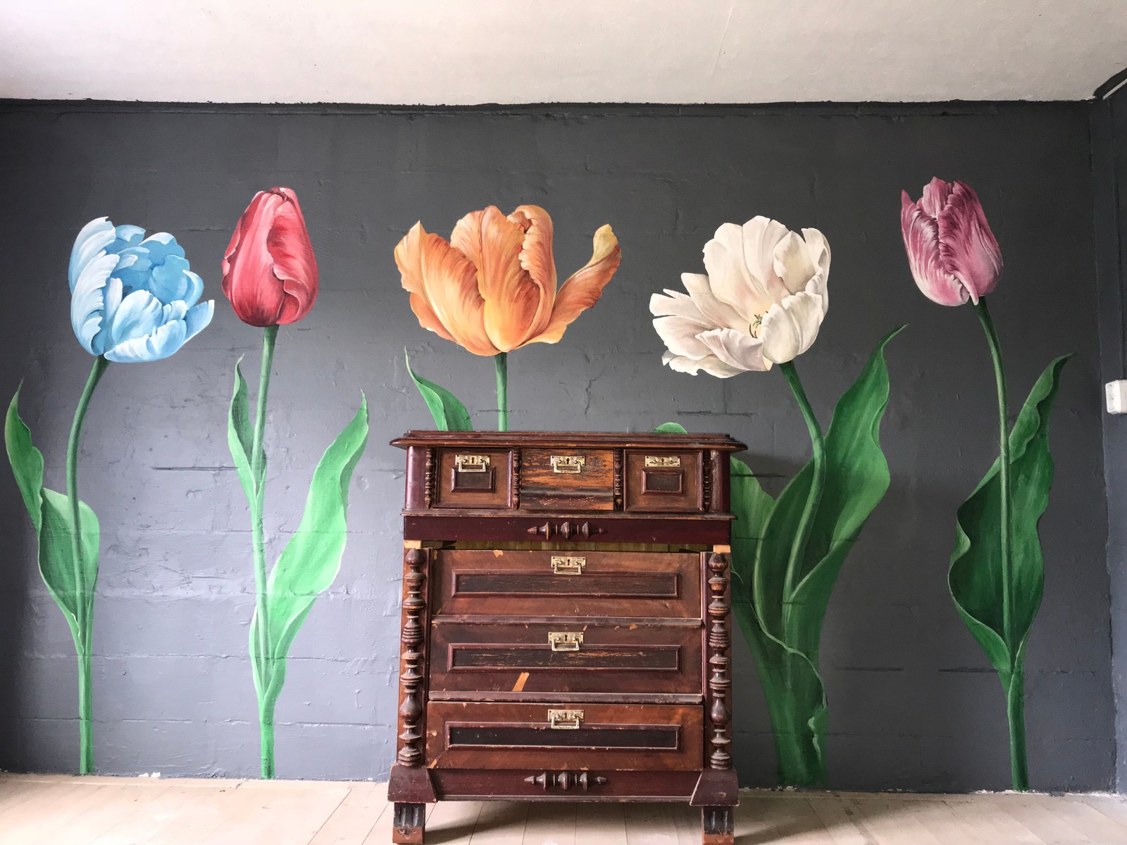 Обложка проекта: Тюльпаны