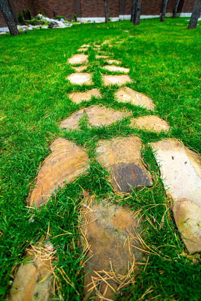 Портфолио Drevos