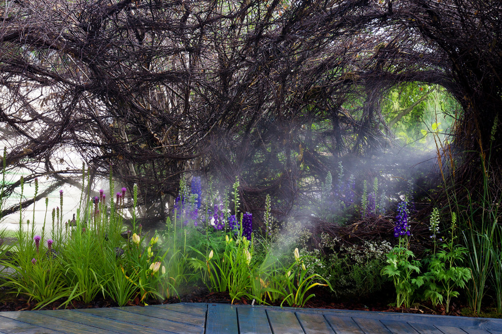 Фотосъемка Сада   по  Метрелинку на MFS 2019 Авторы М,Береснева М. ПРИНТЦ