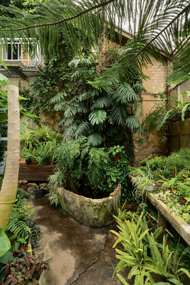 Ботанический сад в сердце Петербурга