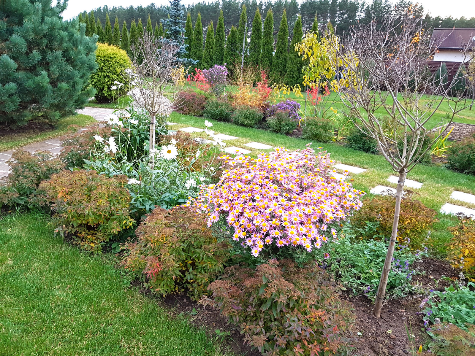 Сосновые берега