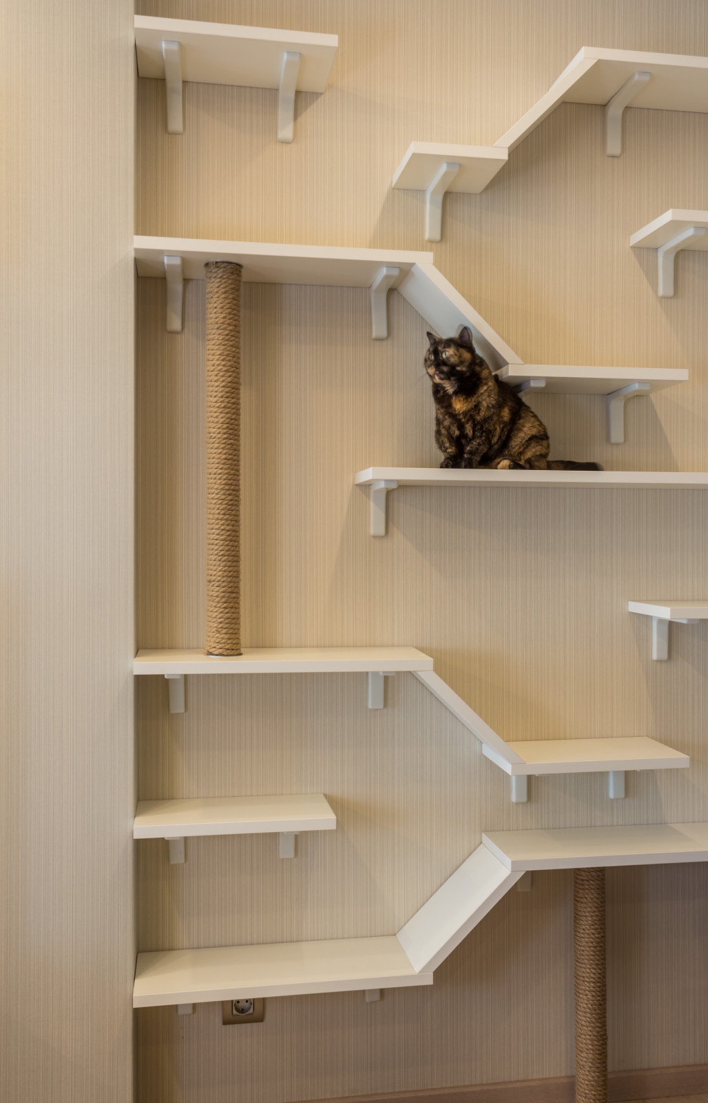 Дизайн квартиры ЖК "Соколиная гора"