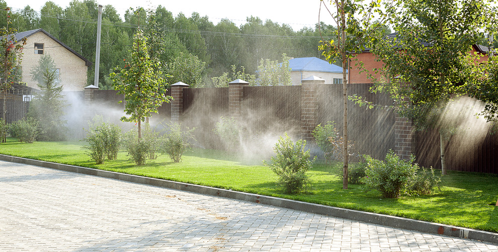 Вавиловец 1