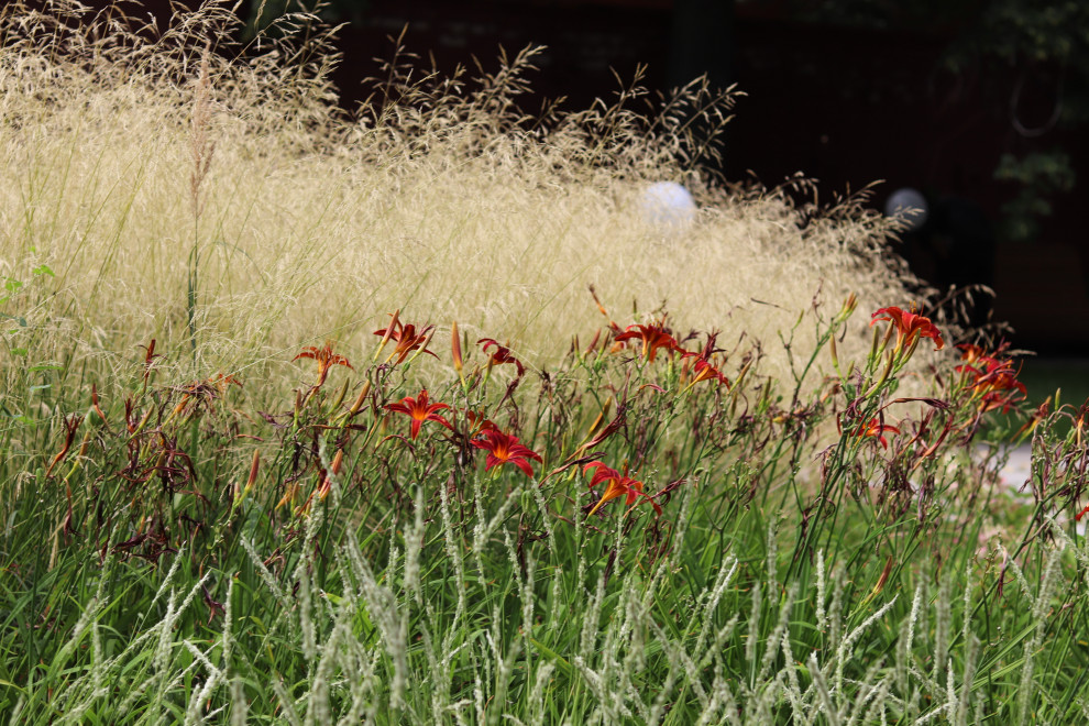 Цветник у памятника А.П.Платонову