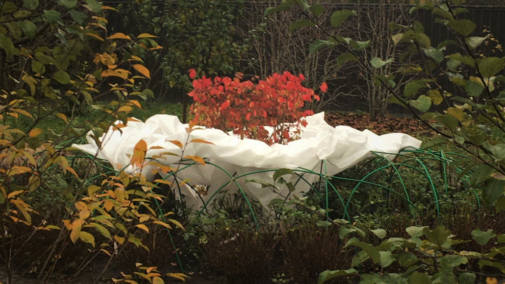 Васильевское