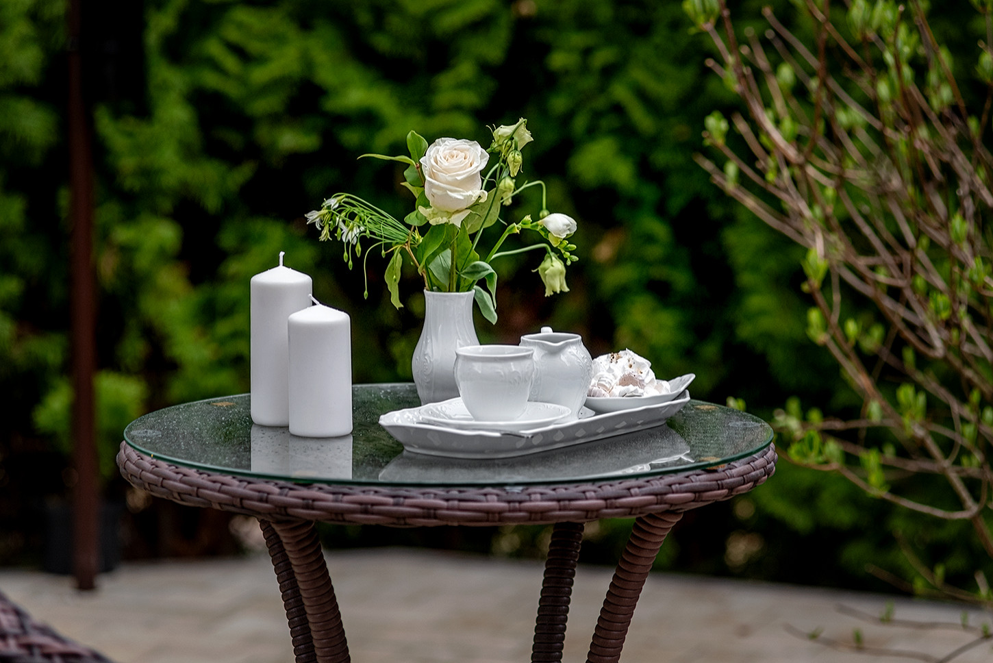 "На Дачу" к Татьяне Веденеевой