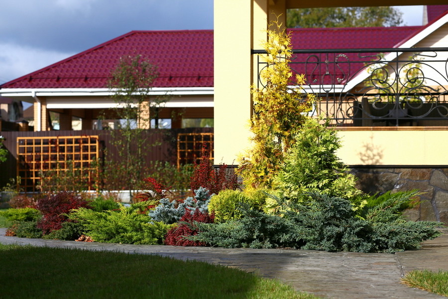 Сад в Вельяминово