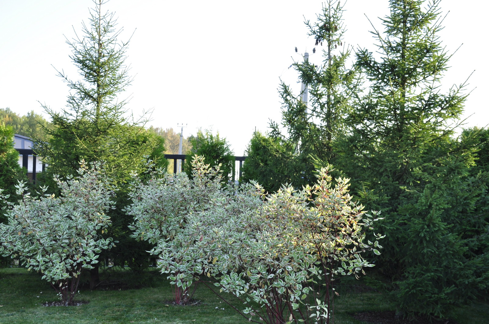 кп "Папушево" - Профессиональный уход за садом - 100% качество!