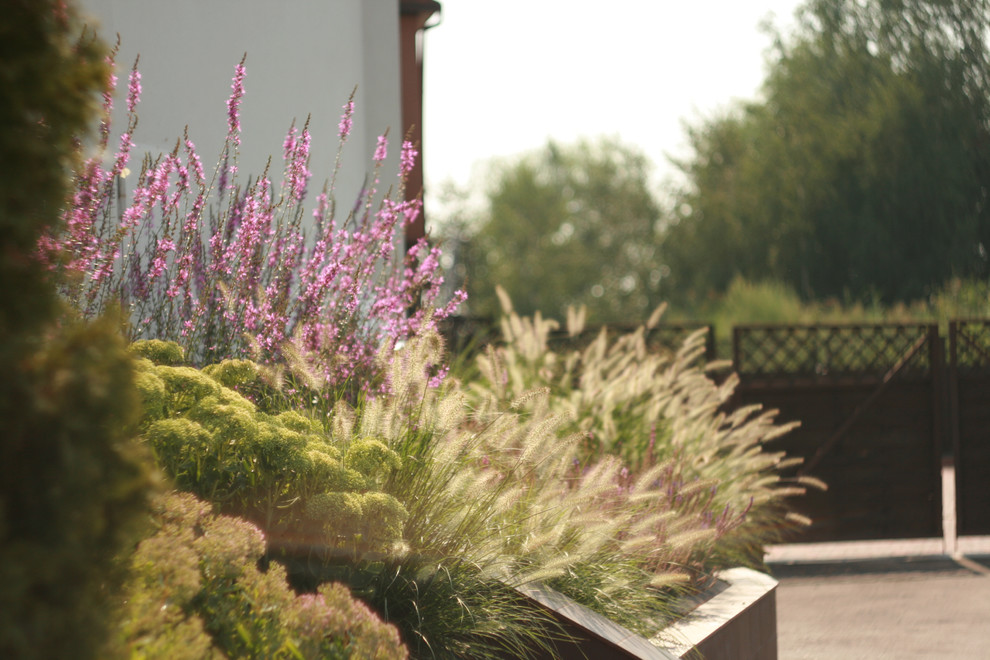 landscape design - Kirovskoe_Dnepropetrovsk region