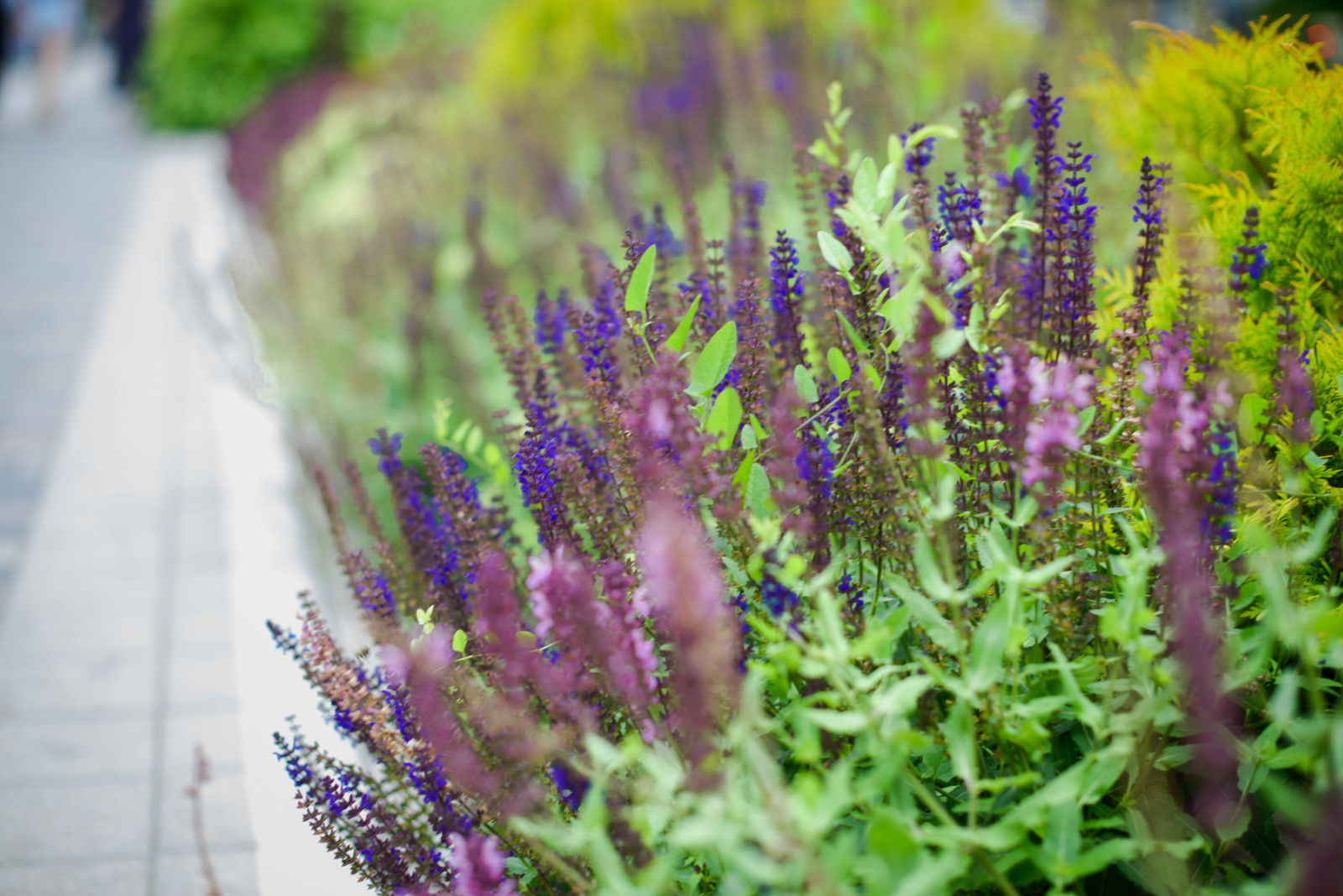 Бульвар на ул. Красной