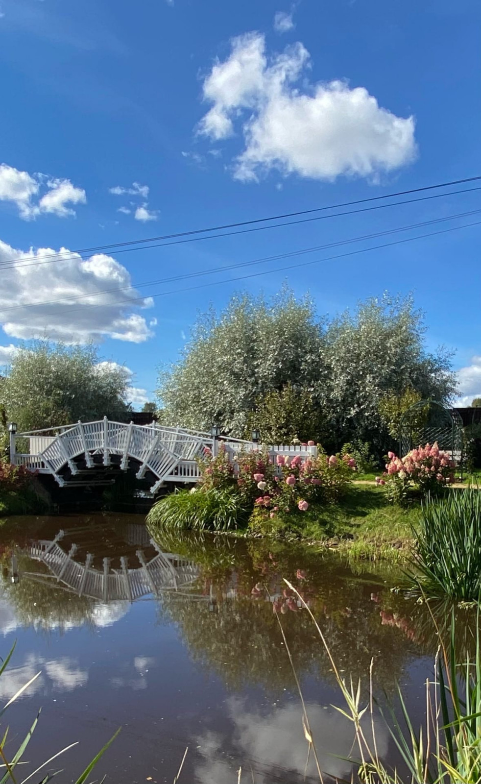 Мосты над рекой