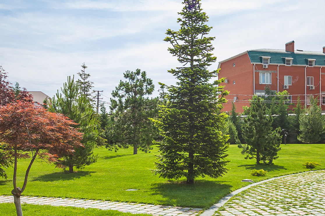 Ландшафтный дизайн