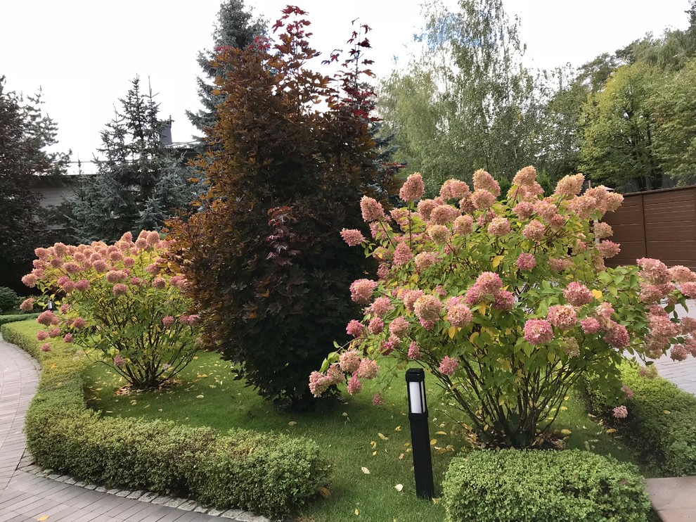 Зелёный лес