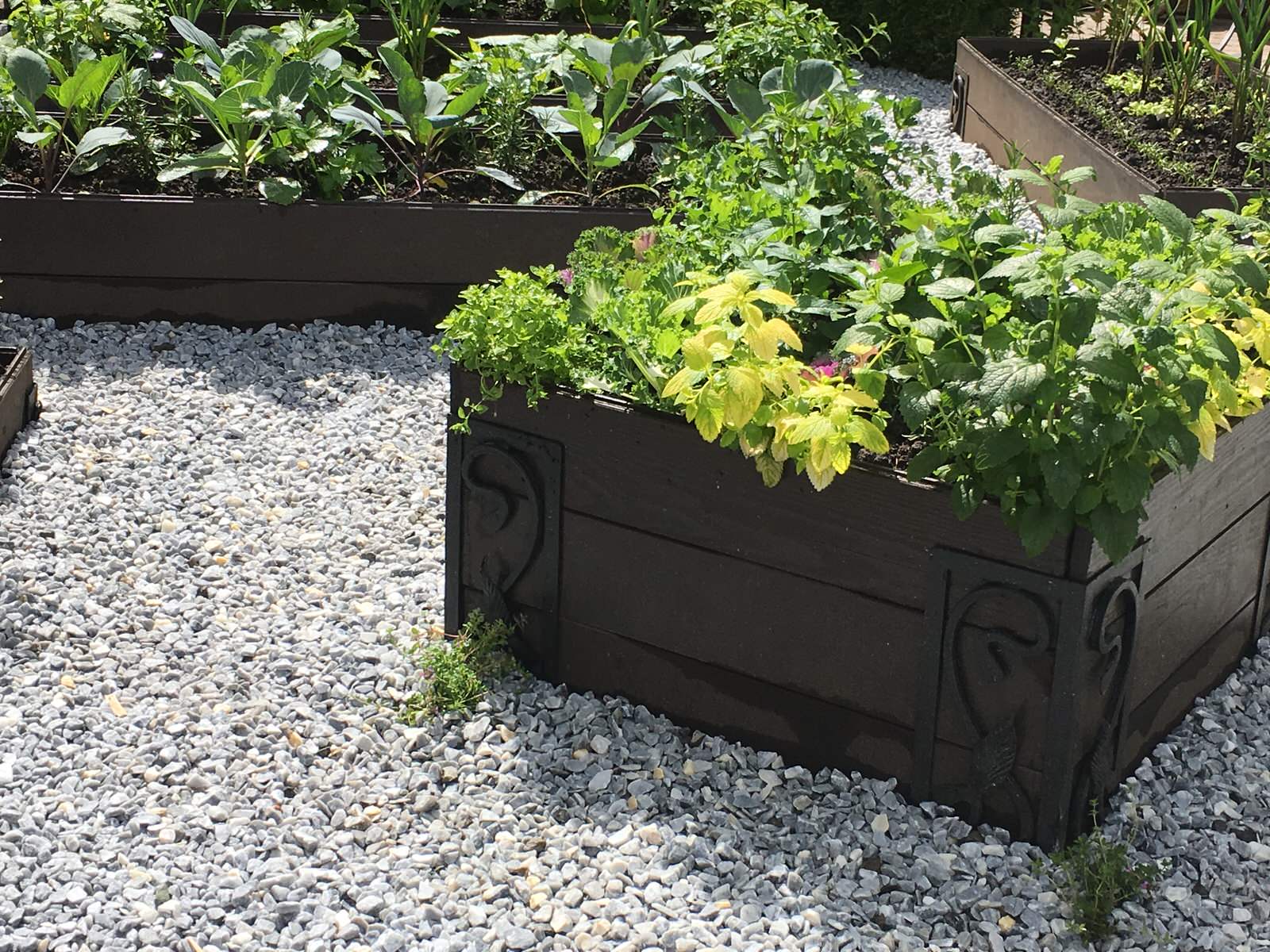 В гостях: Сад на 14 сотках, где живут круглый год