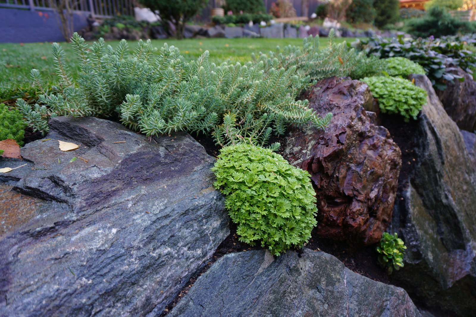 Современный ландшафтный дизайн.