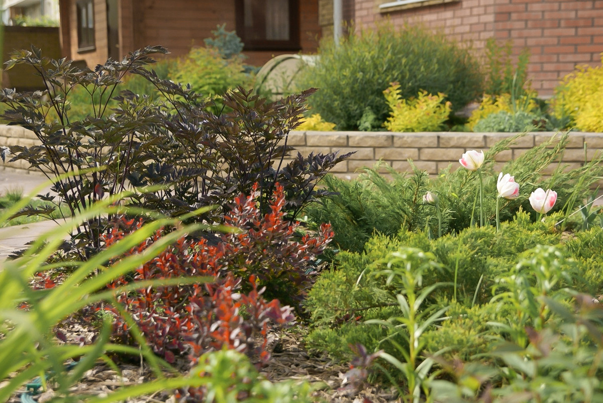 Проектирование. Реализация. Частный сад.