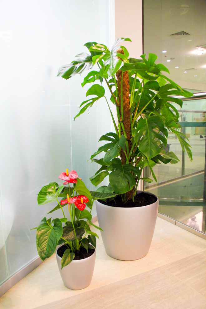 Калуга, Сбербанк, 2010 г.