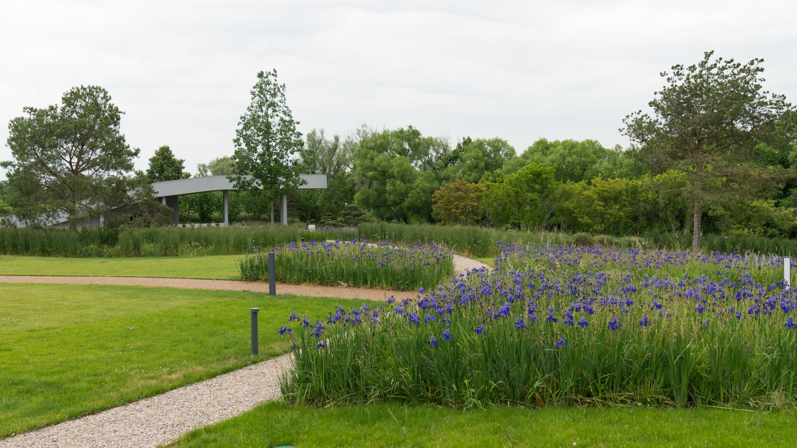 Природный сад. Жуковка XXI век. 2017-2018 гг.