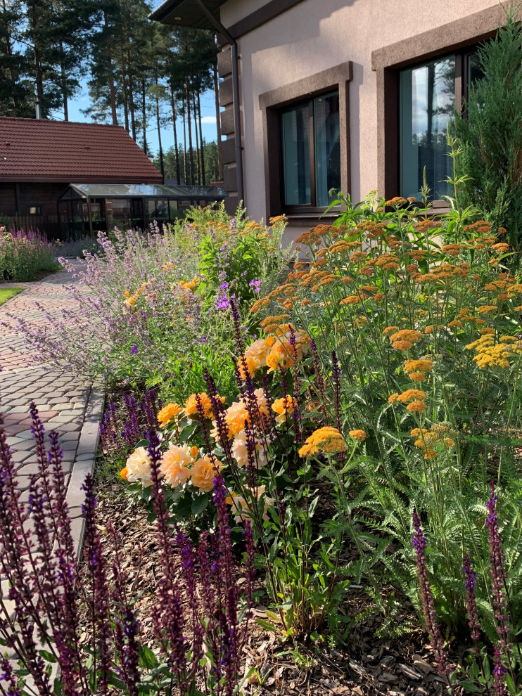 На солнечной поляне