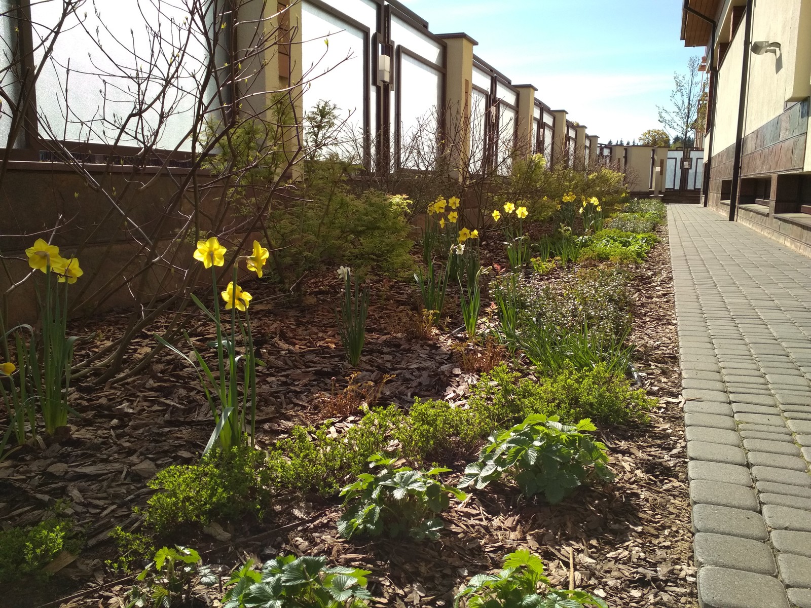 кп "Мартемьяново" - Профессиональный уход за садом - 100% качество!