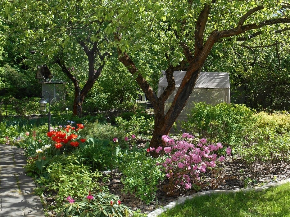 Минское шоссе. 22 сотки. Реконструкция сада.