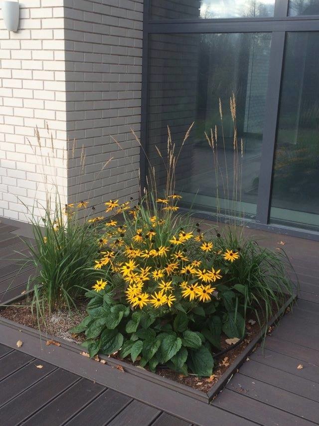 Маленький сад с большой поляной для игр