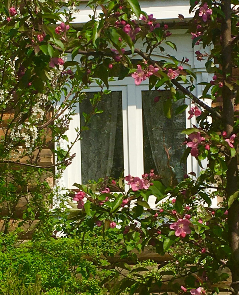 Преображение