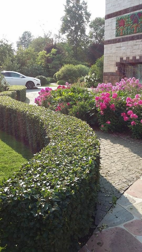 Сенькино московская обл