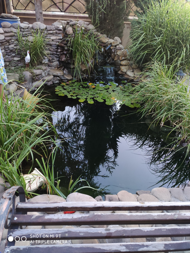 Обложка проекта: Ландшафтный пруд