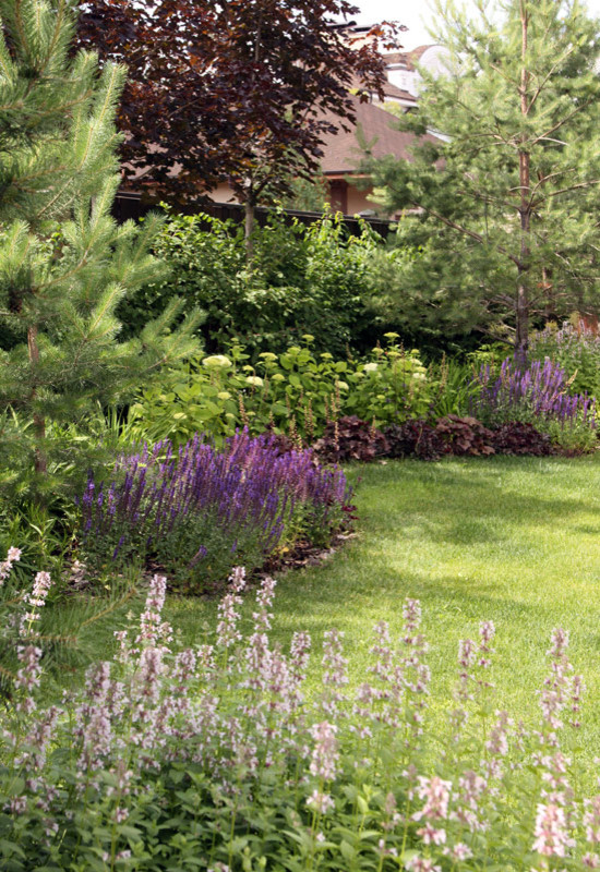 Современный сад