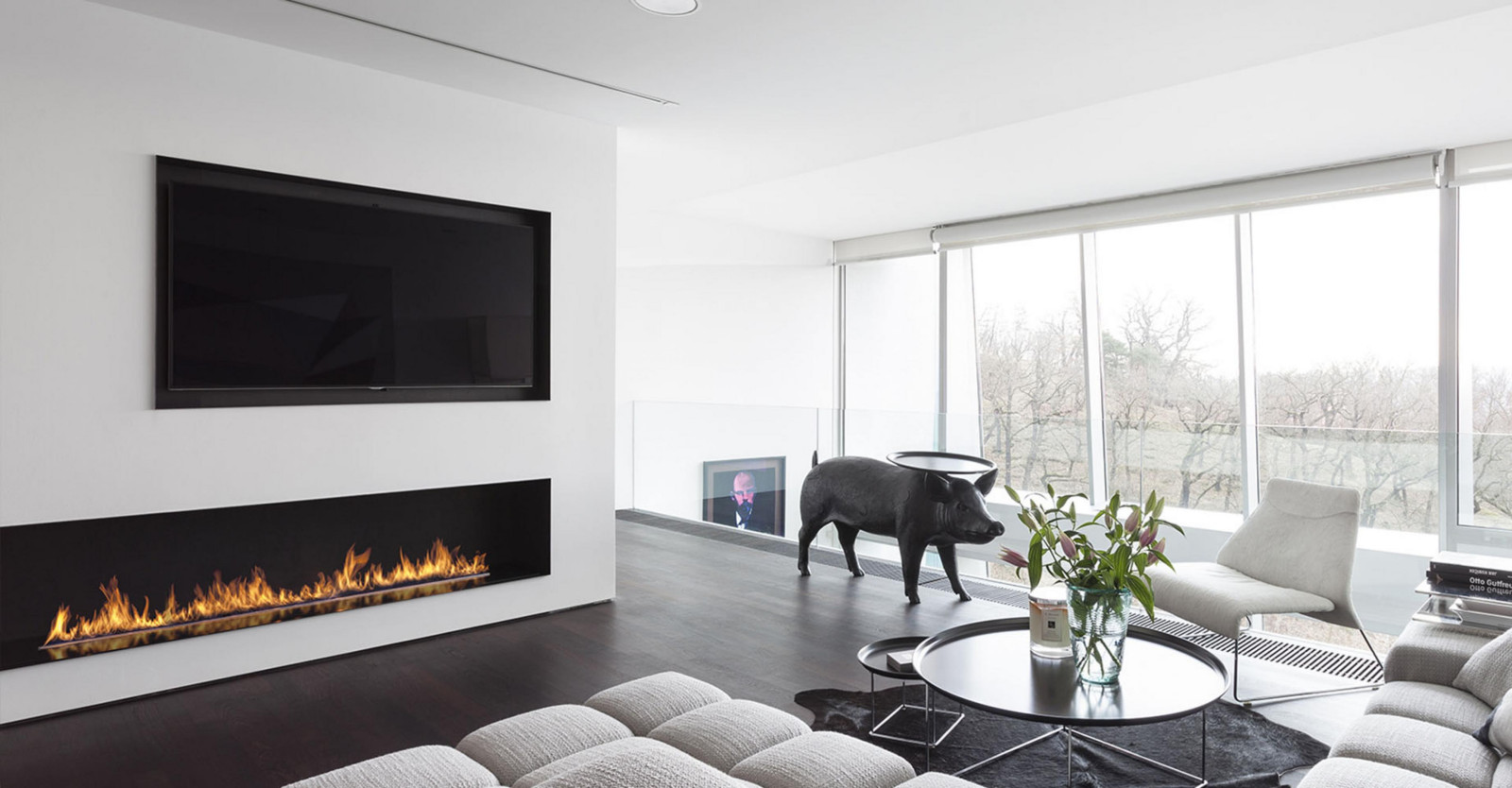 Биокамин для квартиры