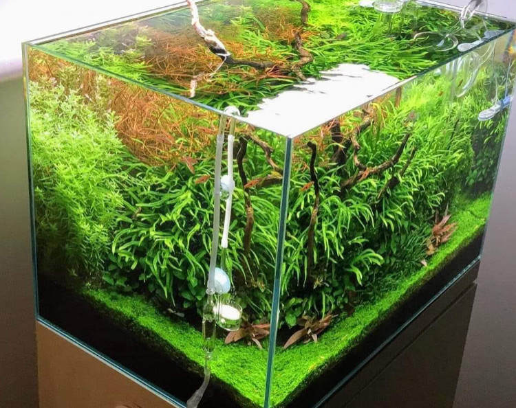 Природный аквариум - релакс и умиротворение!