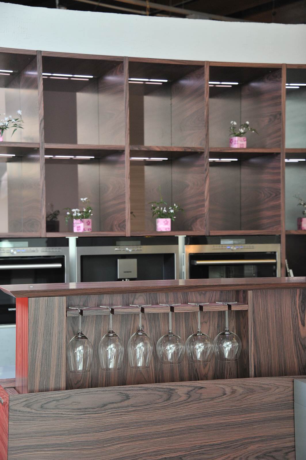 Шпон Палисандр Индийский + фасады со стеклом Серебро