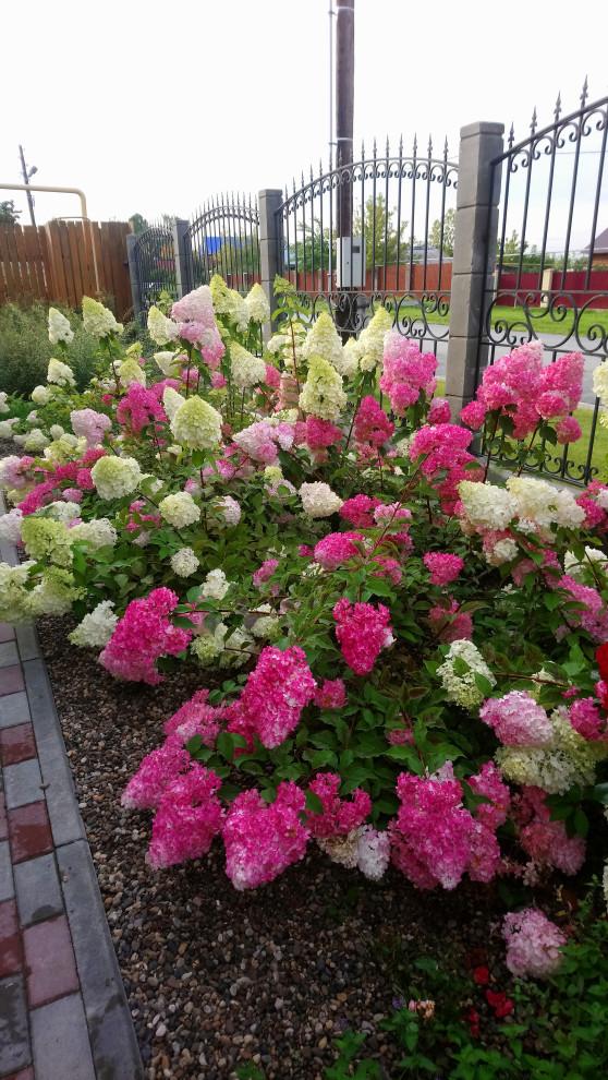 Маленький камерный сад.