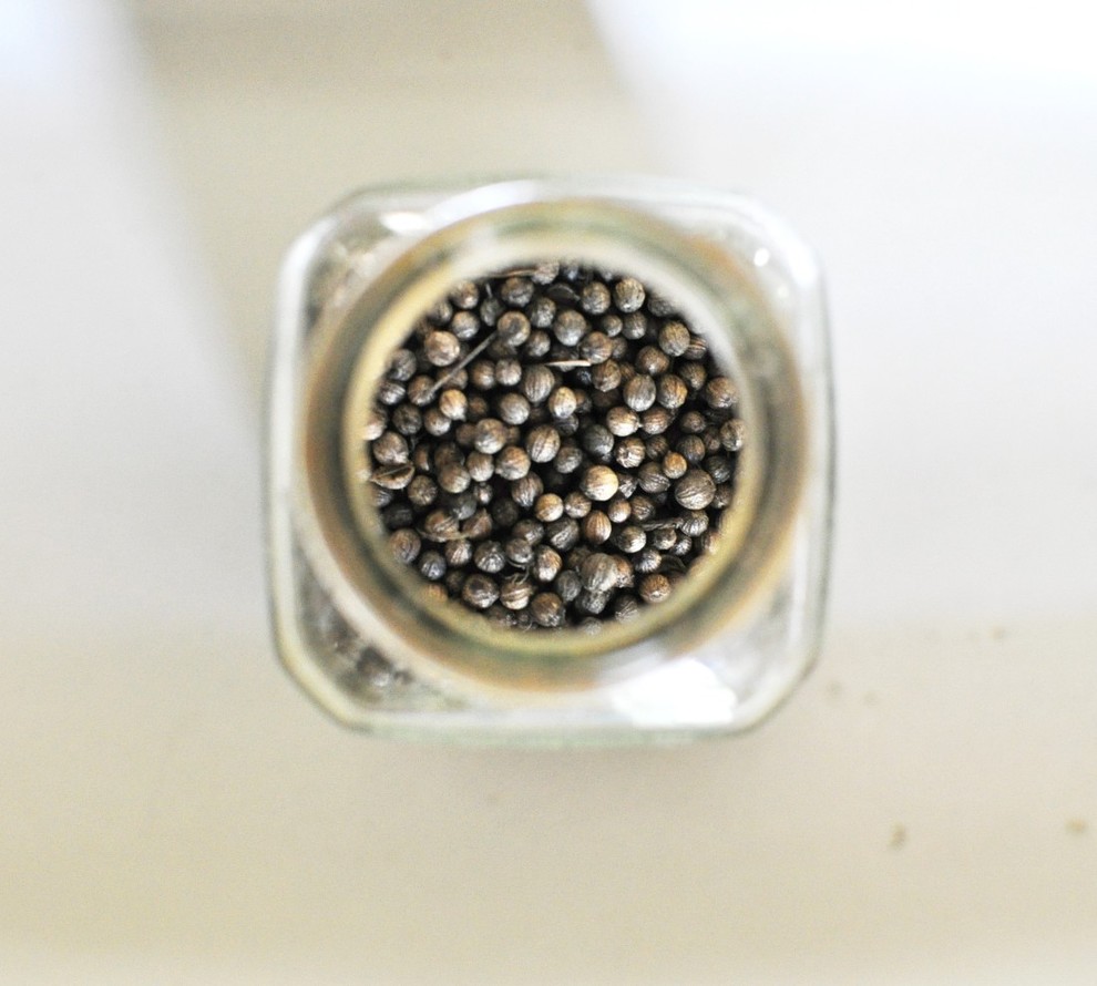 Для новичков: Когда сеять семена на рассаду — гид по месяцам