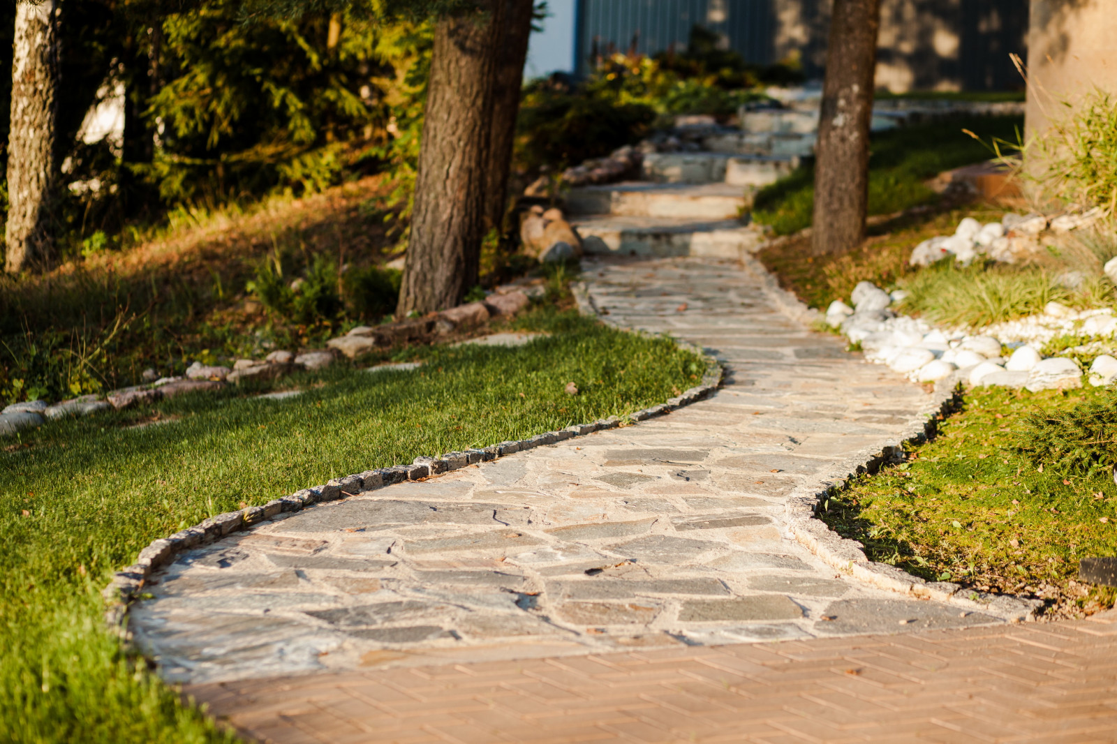 Обложка проекта: Дом на холме