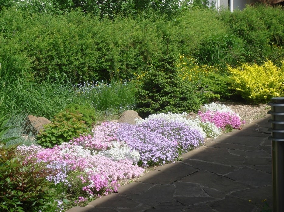 Рублево-Успенское шоссе. 55 соток.