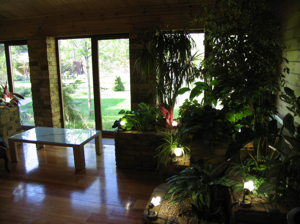 НИИ Радио. Зимний сад