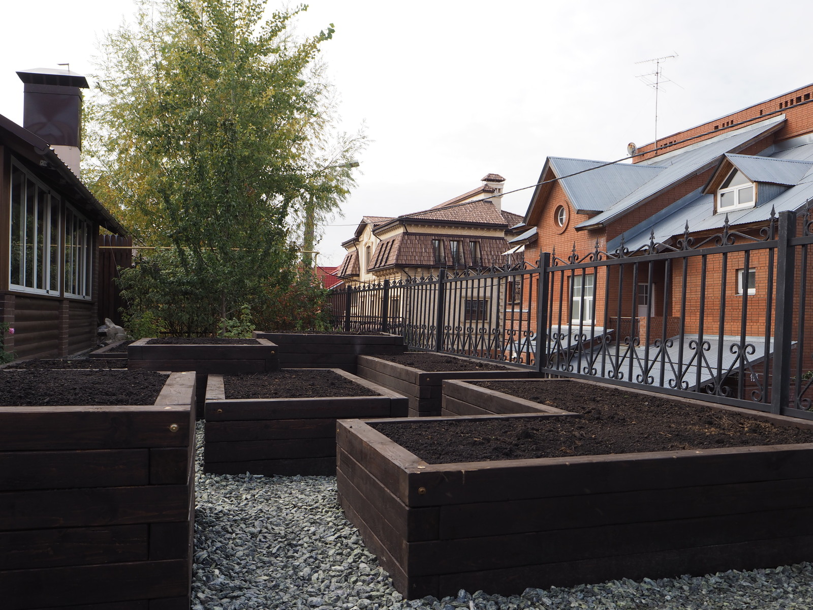 Натуральное дерево в саду