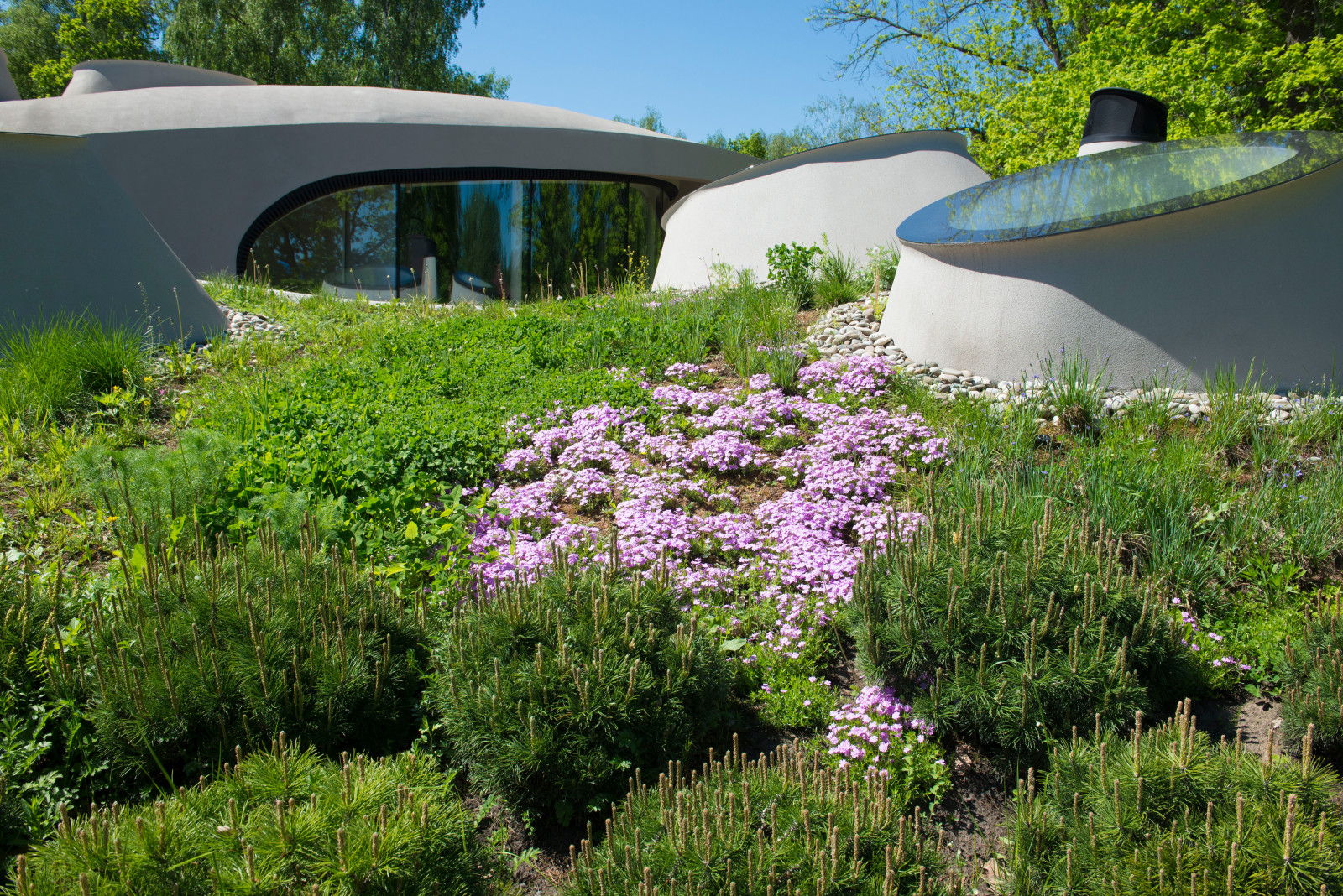 Бионический дом