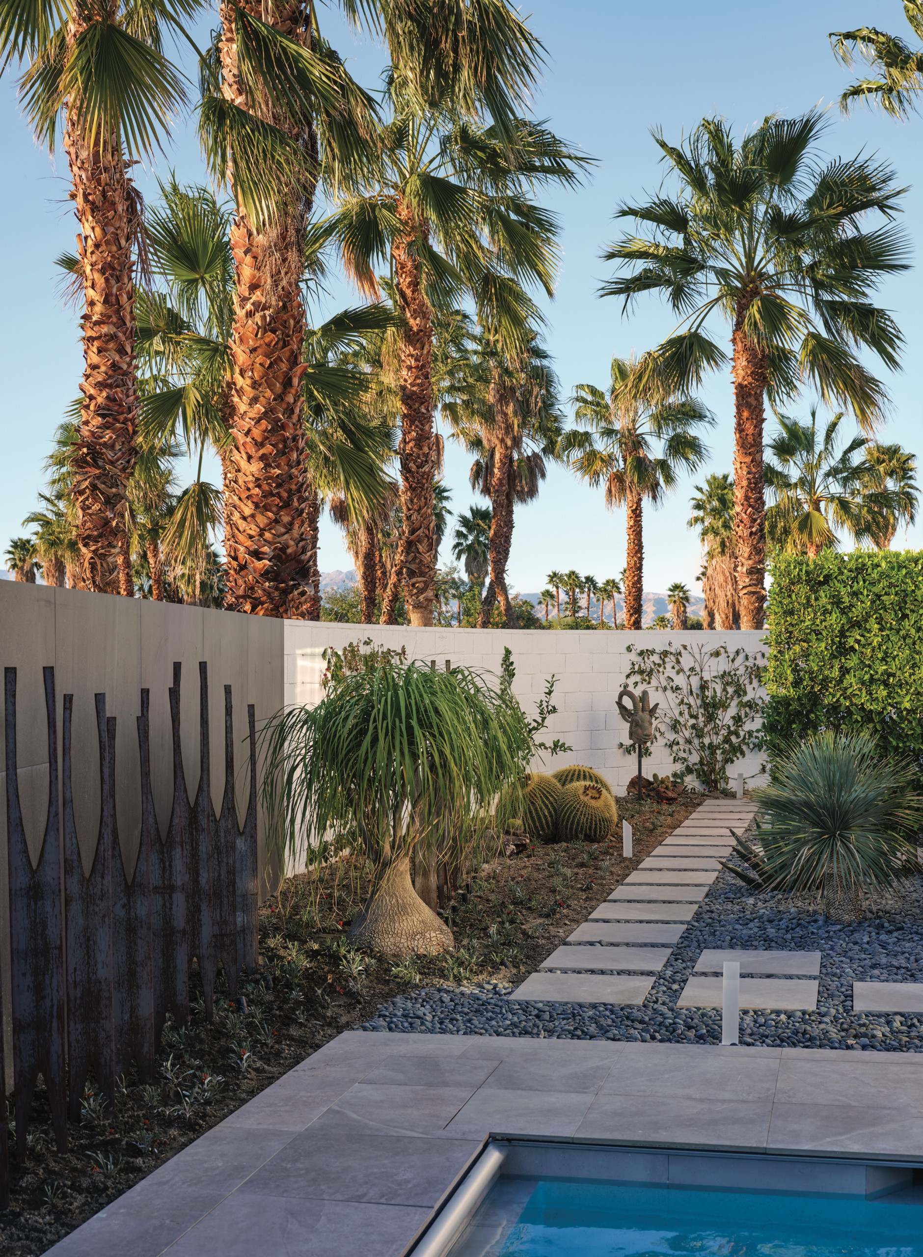 6 великолепных садов фестиваля Palm Springs Modernism Week 2022