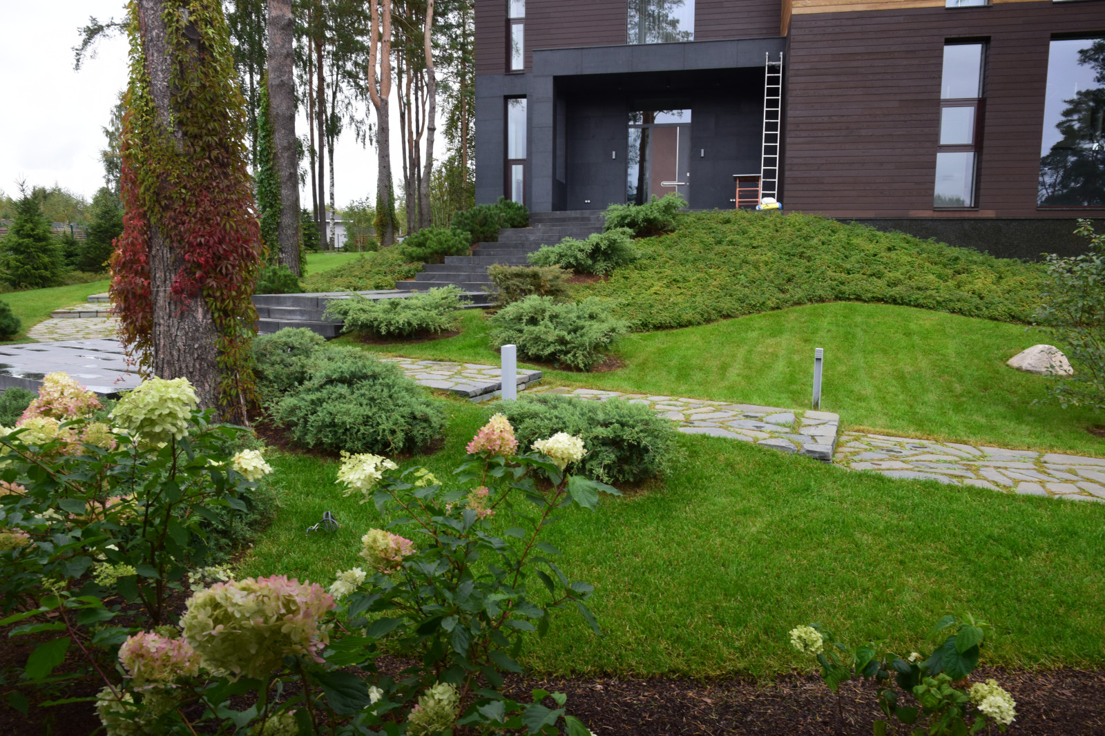 Сестроречье