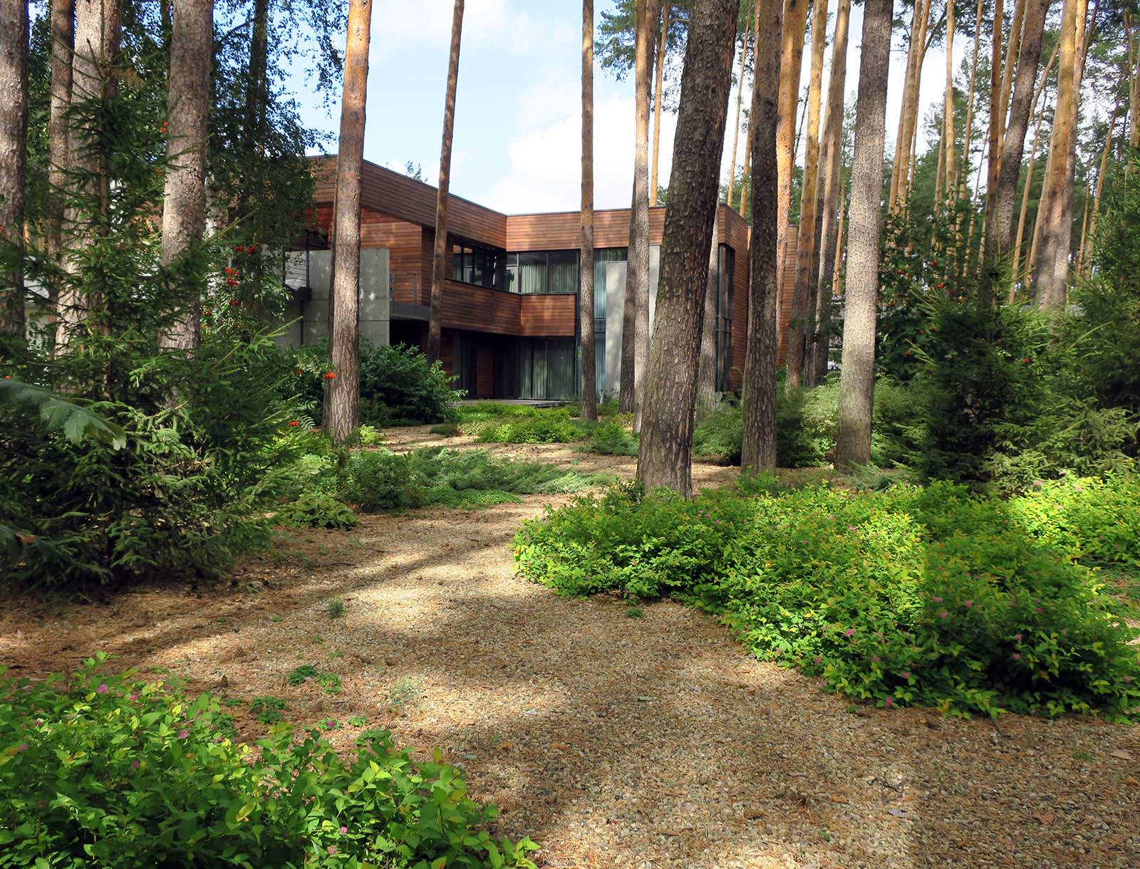 Лесные дорожки, явные и неявные