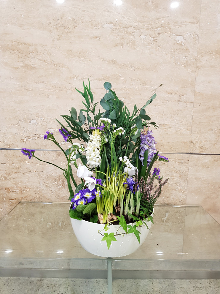 Обложка проекта: Озеленение офиса