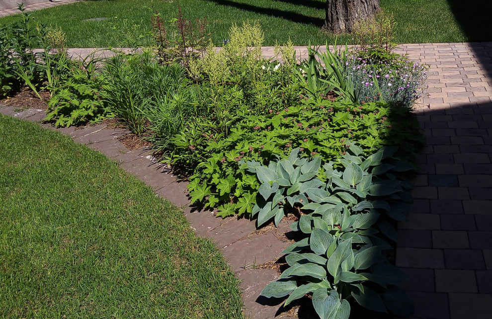 Цветники под пологом леса